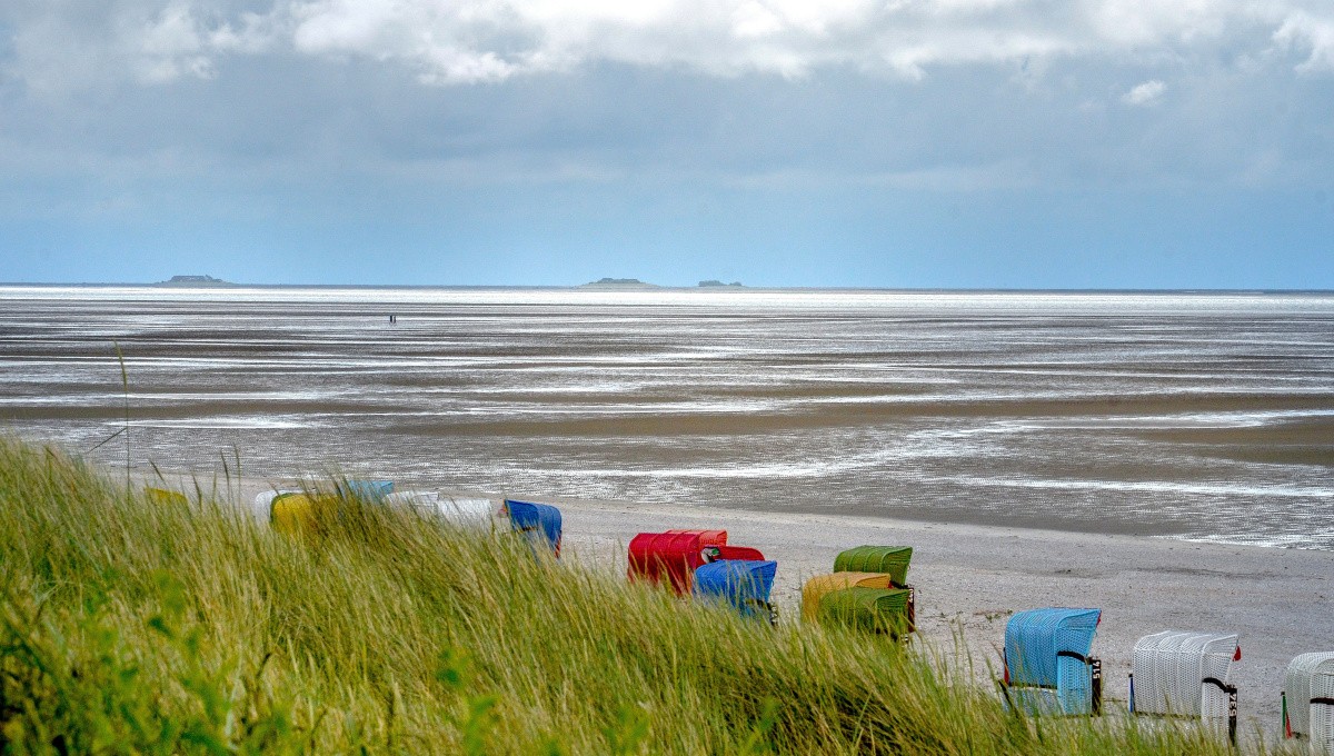 Strand mit bunten Strandkörben auf Föhr