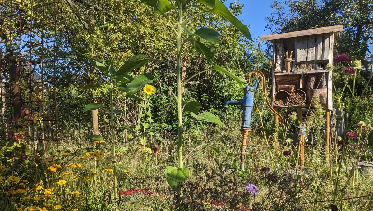 Insektennisthilfe in naturnahem Garten