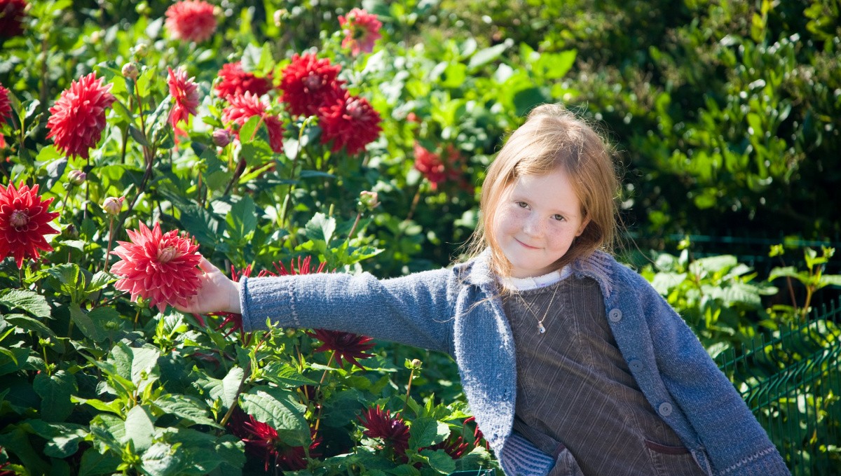 Kind mit Dahlie Kind mit Dahlie