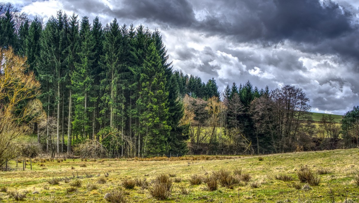 Regenwolke über Wald Regenwolke über Wald