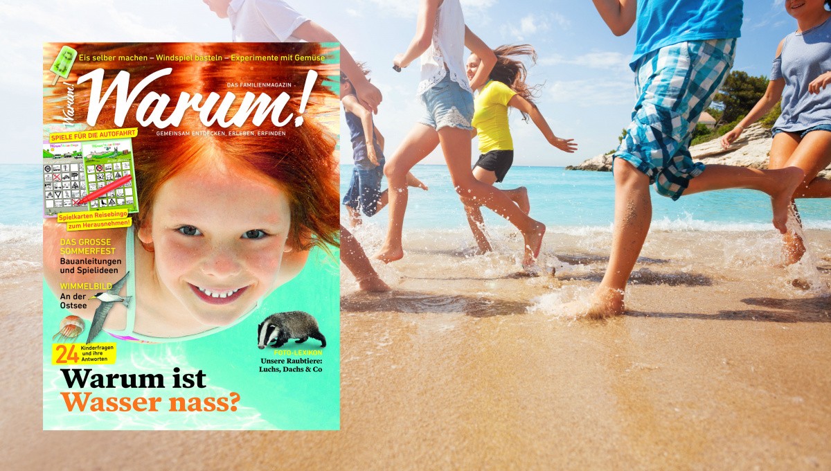 Warum!-Cover 2/2018 auf sommerlichem Hintergrundbild Warum!-Cover 2/2018 auf sommerlichem Hintergrundbild