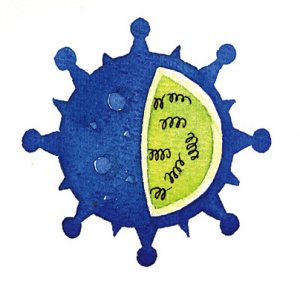 Grippe-Virus