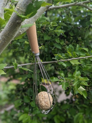 Meisenknödel im Schneebesen