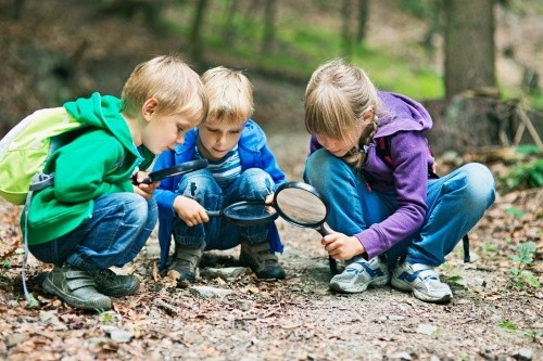 Kinder forschen im Wald mit Lupe