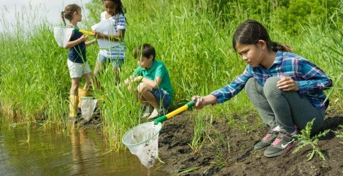 Kinder keschern am Teich