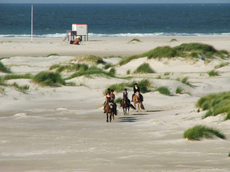 Strandreiter*innen auf Amrum