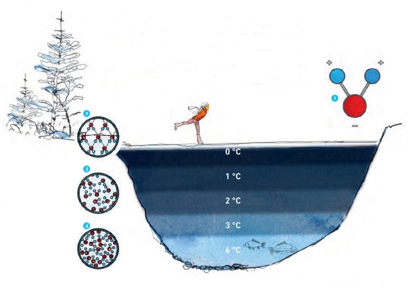 Illustration Wärmeschichten Wasser