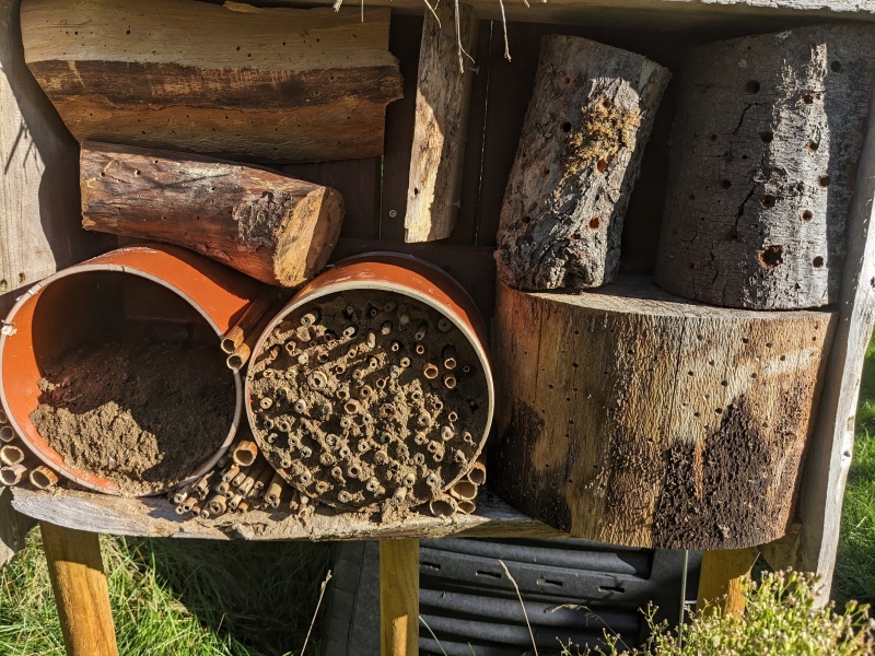 Innenausbau der Insektennisthilfe