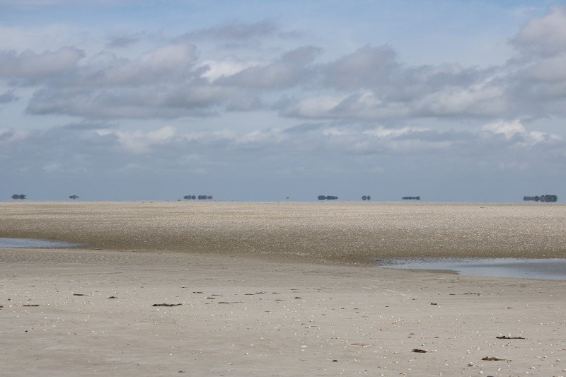 Blick auf die Halligen vom Norderoogsand