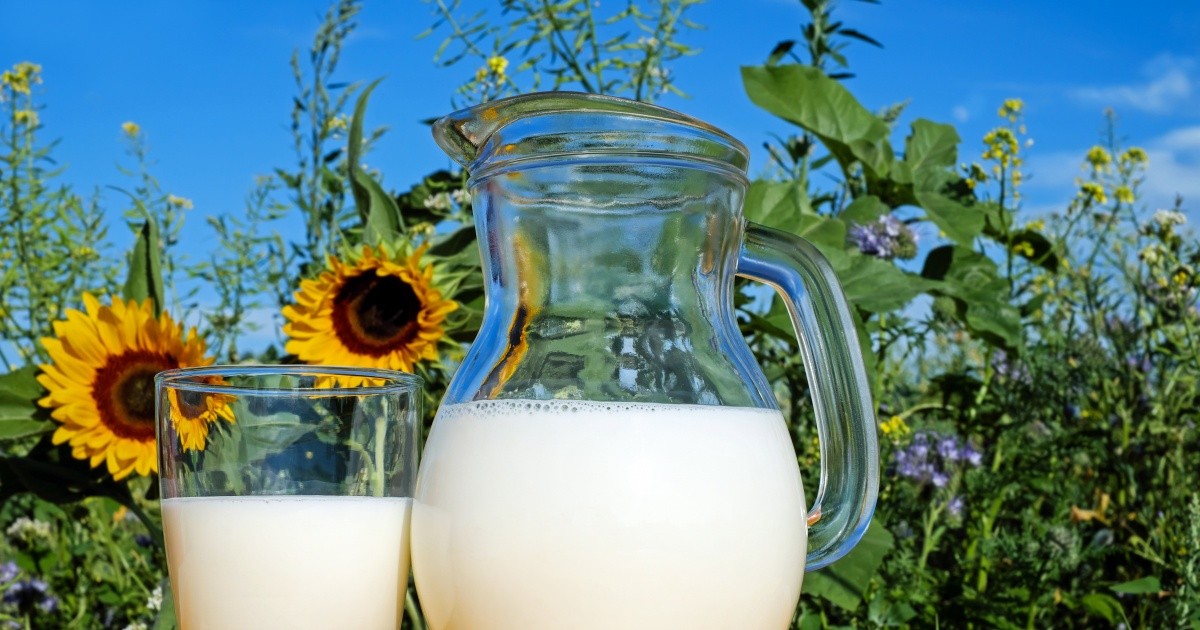 Warum ist Milch weiß?