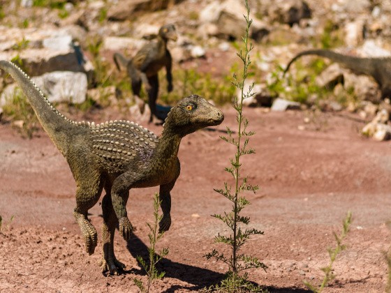 Dinosaurier-Modelle