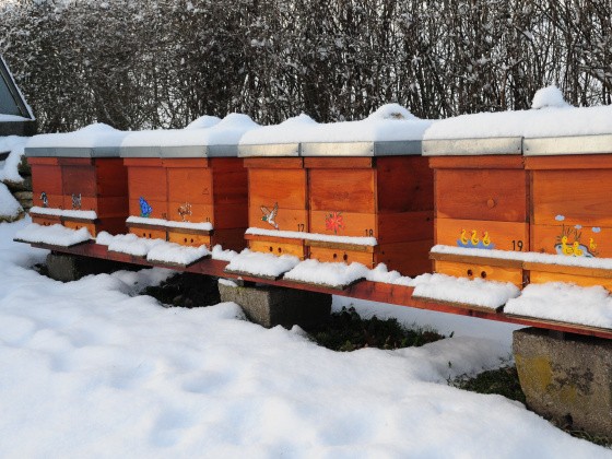 Bienenstöcke unter Schnee im Winter