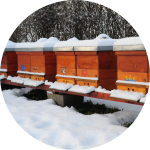 Bienenstöcke unter Schnee im Winter Bienenstöcke unter Schnee im Winter