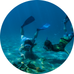 Kinder schnorcheln im Meer Kinder schnorcheln im Meer