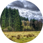 Regenwolke über Wald Regenwolke über Wald