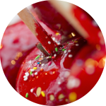 Rote, zuckrige Liebesäpfel Rote, zuckrige Liebesäpfel