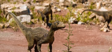 Dinosaurier-Modelle Dinosaurier-Modelle