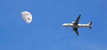 Mond am Tag, Flugzeug und Vogel