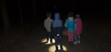 Kinder bei Nachtwanderung Kinder bei Nachtwanderung