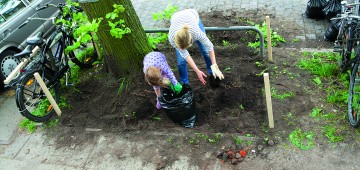 Frau und Kind bepflanzen Baumscheibe in der Stadt Frau und Kind bepflanzen Baumscheibe in der Stadt