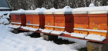 Bienenstöcke unter Schnee im Winter Bienenstöcke unter Schnee im Winter