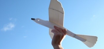 Modellbau: Gleitflieger "Möwe" Modellbau: Gleitflieger "Möwe"