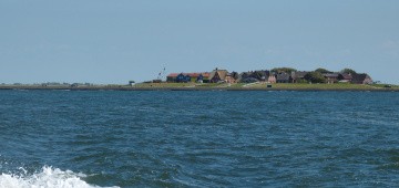 Hallig Hooge in der Nordsee