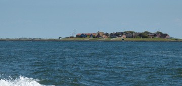Hallig Hooge in der Nordsee Hallig Hooge in der Nordsee
