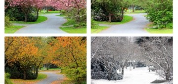 Landschaft in vier Jahreszeiten Landschaft in vier Jahreszeiten
