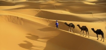 Karawane mit drei Kamelen in der Sahara