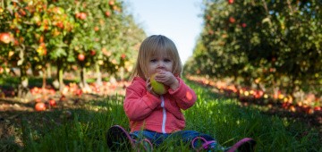 Kind beißt in Apfel Kind beißt in Apfel