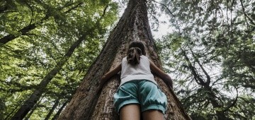 Mädchen umarmt großen Baum