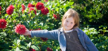 Kind mit Dahlie Kind mit Dahlie
