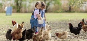 Mädchen füttern draußen Hühner