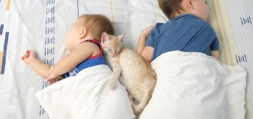 Zwei Kinder und eine Katze schlafen im Bett