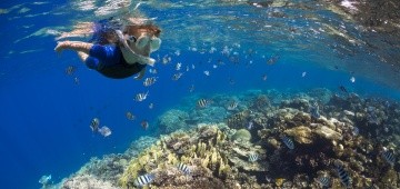 Ein Junge taucht am Korallenriff zwischen bunten Fischen
