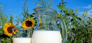 Glas und Karaffe mit Milch auf einer Decke im Feld