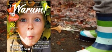 Warum!-Cover 3/2017 auf herbstlichem Hintergrundbild