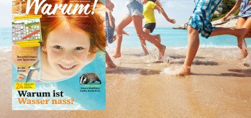 Warum!-Cover 2/2018 auf sommerlichem Hintergrundbild Warum!-Cover 2/2018 auf sommerlichem Hintergrundbild