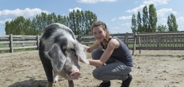 Jugendliche kniet neben Schwein