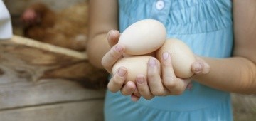 Mädchen hält Hühnereier in der Hand Mädchen hält Hühnereier in der Hand